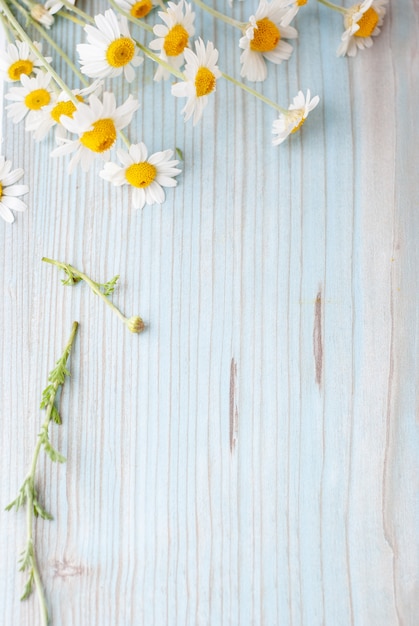 Foto boeket van vers geplukte kamillebloemen op houten achtergrond