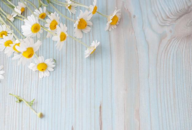 Foto boeket van vers geplukte kamillebloemen op houten achtergrond