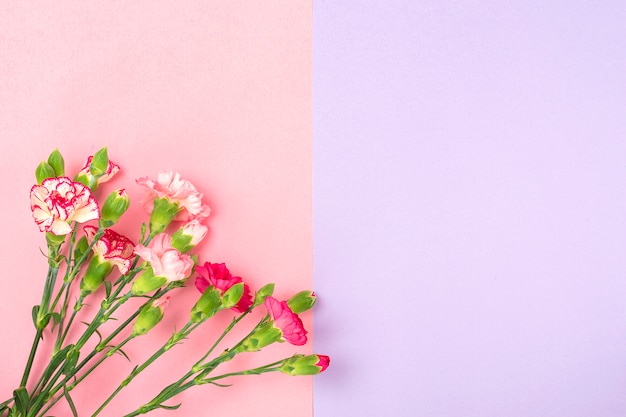 Boeket van verschillende roze anjerbloemen op dubbele kleurrijke achtergrond