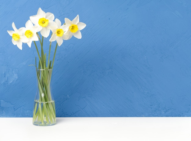 Boeket van verse bloemen, narcissen met glasvaas op witte lijst, blauwe muur