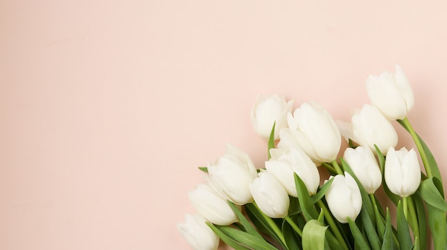 Boeket van verse lente witte tulpen ligt