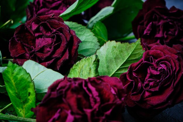 Boeket van vervaagde rode rozen met dode bloemblaadjes op de vloer.