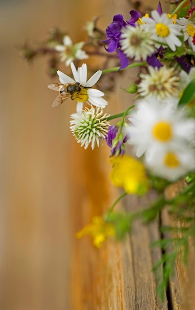 Boeket van wilde bloemen en aardbeienbessen staan op het terras