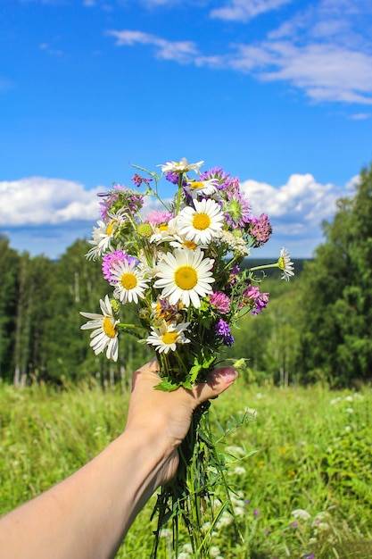 Boeket van wilde bloemen in de hand tegen de blauwe hemel. zomerstemming