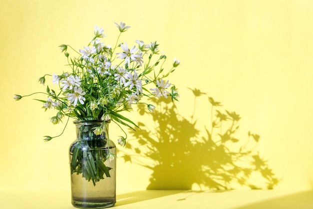 Boeket van wilde bloemen in vaas op pastelgele achtergrond