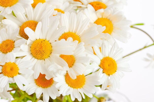 Foto boeket van wilde margrieten