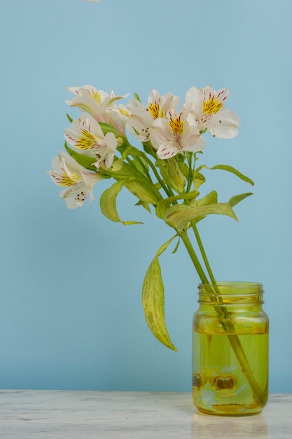 Boeket van witte bloemen in een gele vaas met een blauwe achtergrond Elegante interieurdecoratie