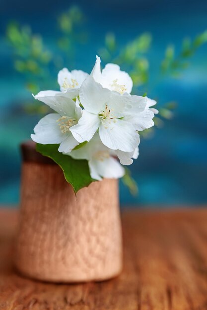 Boeket van witte bloemen van wilde jasmijn op een blauwe achtergrond Rustiek stilleven