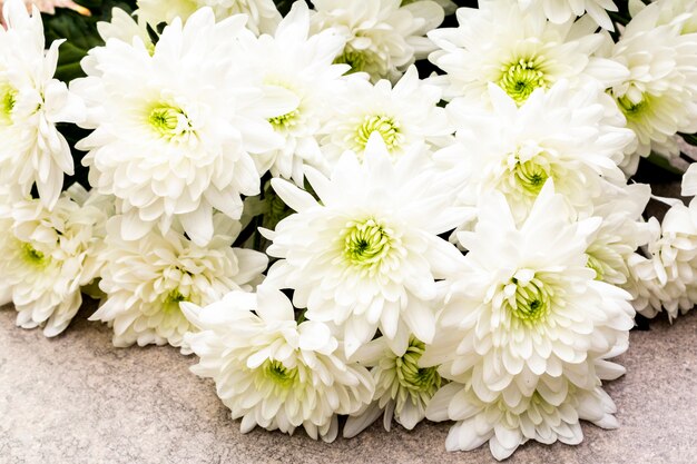 Boeket van witte chrysantenbloemen