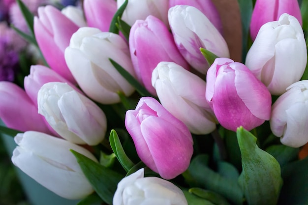 Foto boeket van witte en roze tulpen