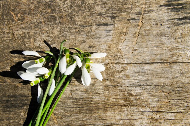 Boeket van witte sneeuwklokjes op rustieke houten achtergrond