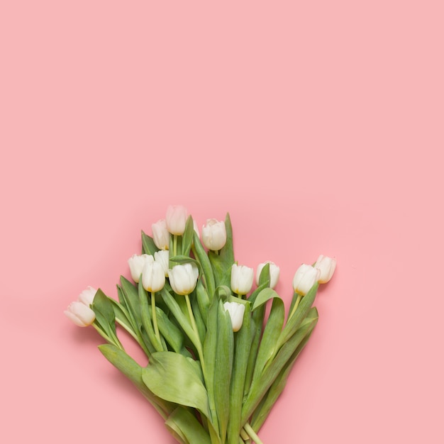 Boeket van witte tulp op millennial pink.