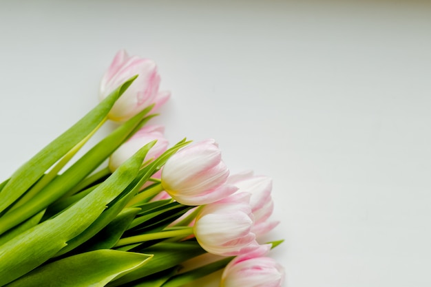 Boeket van witte, zachtroze tulpen met groene bladeren geïsoleerd op een witte achtergrond.