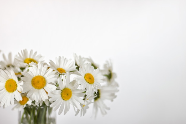 Boeket van witte zomer madeliefjes