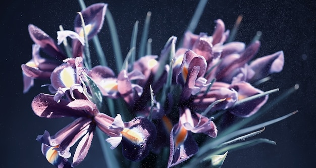 Boeket verse bloemen. Vakantiecadeau voor je geliefde. Achtergrond St. Valentijnsdag. Roos, tulp, iris bloemstuk.