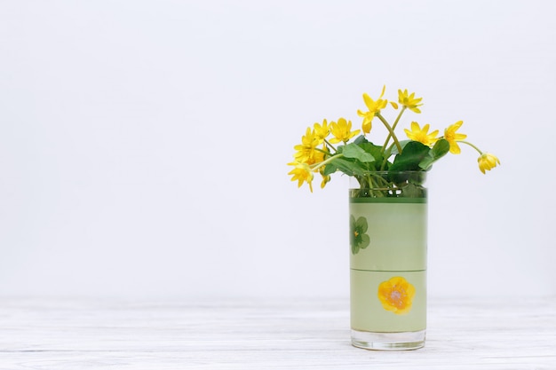 Boeket verse gele bloemen op witte muur. lente wilde bloemen gele bloemen in geïsoleerd glas