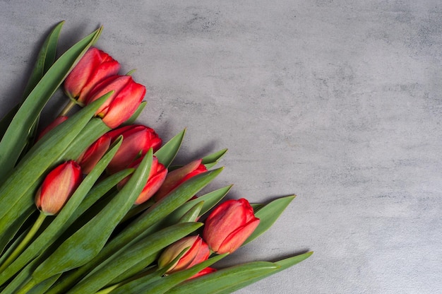 Boeket verse rode tulpenbloemen