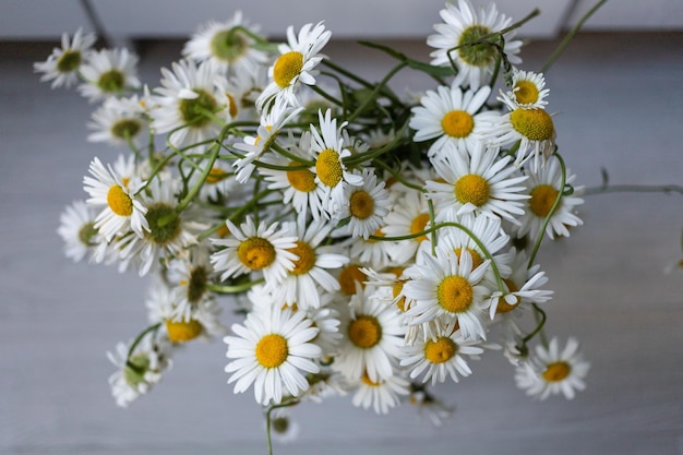 Boeket witte madeliefjes in een vaas