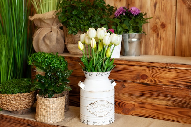 Boeket Witte tulpenbloemen in een mand. interieur van lentetuin. Rustiek terras. Close-up van bloempotten met planten. jonge planten groeien in de tuin. Lente decoratie, tulpen in de mand. koffieplant