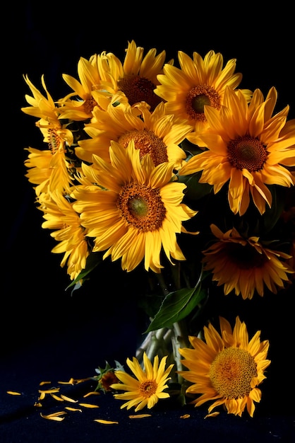 Boeket zonnebloemen in een kan Stilleven uit een boeket zonnebloemen
