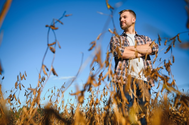 Boer agronoom in sojabonenveld die gewassen controleert vóór de oogst. Biologische voedselproductie en -teelt.