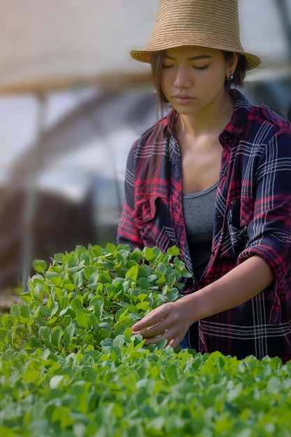 Boer Aziatische vrouwen doen onderzoek naar biologische moestuinen, hydrocultuur. Concept van het kweken van biologische groenten en gezondheidsvoedsel.
