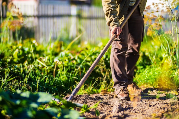 Boer cultiveert land in de tuin met handgereedschap Bodem losmaken Tuinconcept Landbouwwerkzaamheden op de plantage