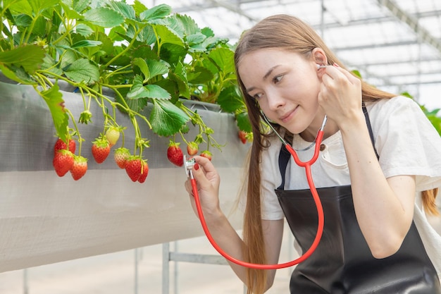 Boer die aardbeien fruit plant met liefde zorg voor goede beste producten concept meisje met behulp van stethoscoop luisterende plantengewassen