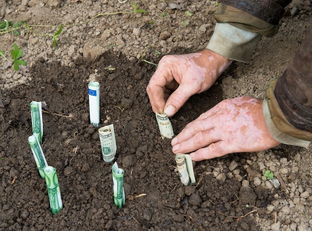 Boer die geld plant. Euro en dollarbankbiljetten.