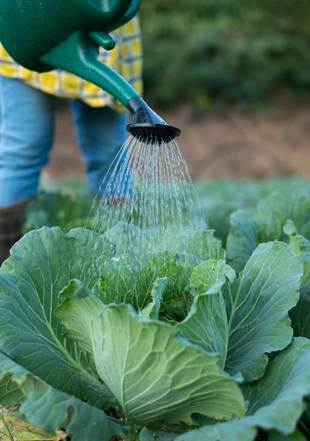 Boer die kooltuin water geeft met waterkan