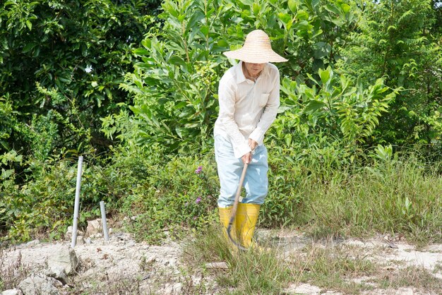 Boer die op de boerderij tegen bomen werkt