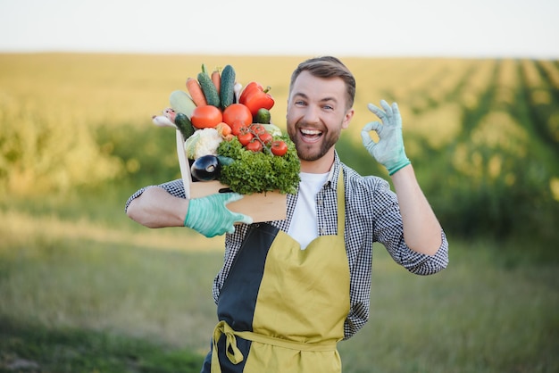 Boer draagt doos met geplukte groenten