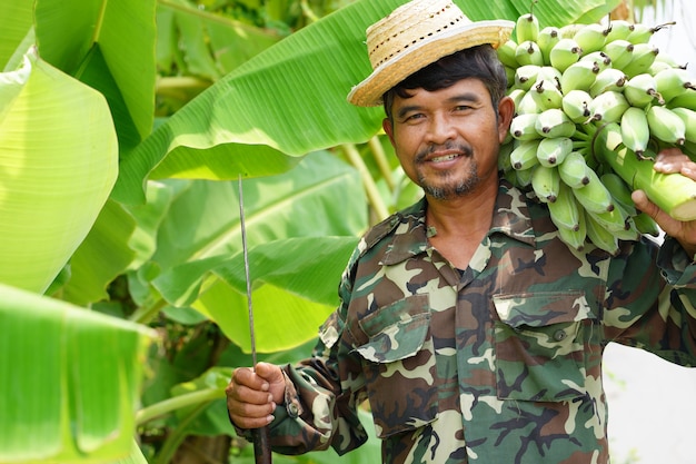 Boer draagt ​​groene bananen