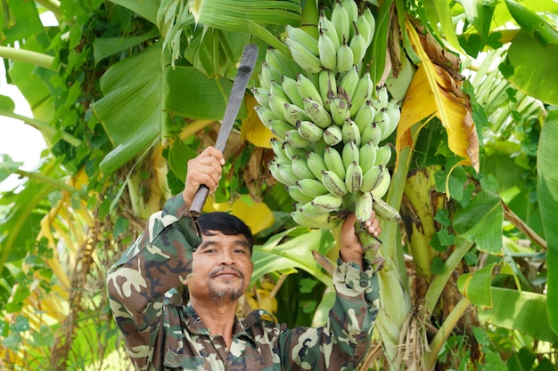 Boer draagt ​​groene bananen