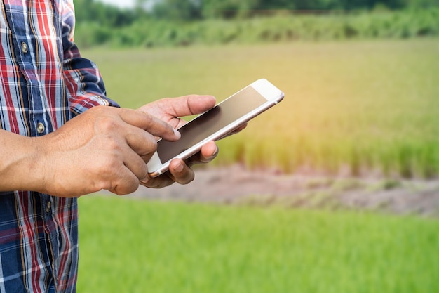 Boer gebruikt digitale mobiele telefoon om rapporten te verzamelen en gegevens te analyseren in rijstlandbouwboerderij Slim landbouwconcept