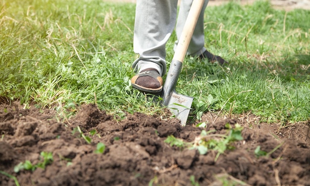 Foto boer graaft grond met schop in tuin.