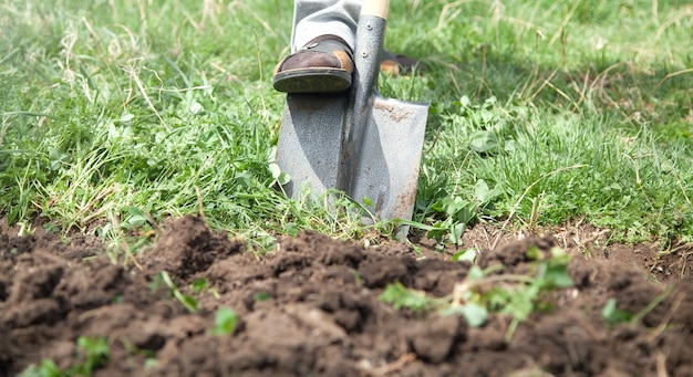 Foto boer graaft grond met schop in tuin.