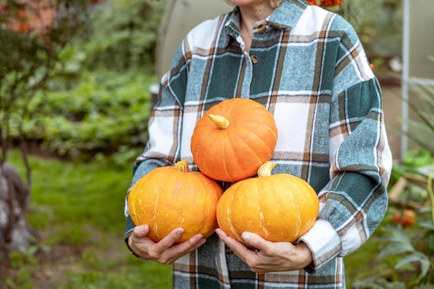 Boer houdt pompoenen in de tuin Herfstoogst die zich voorbereidt op Halloween Close-up