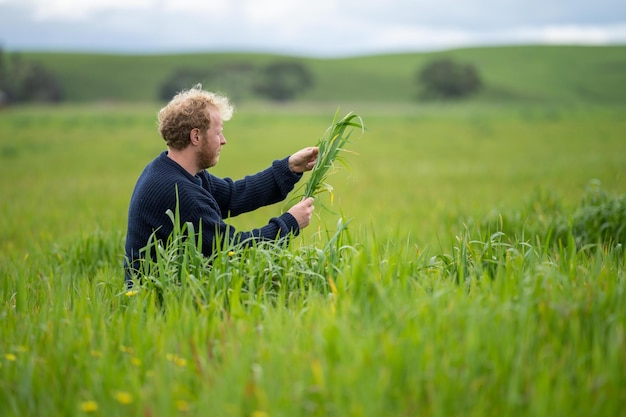 Boer kijkt naar weiland in een veldwetenschapper die lang gras vasthoudt in een paddock
