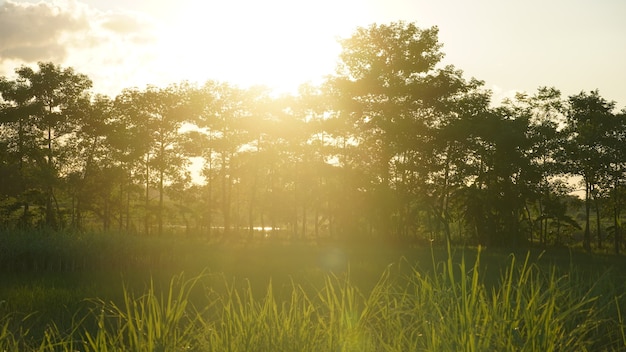 Boer landbouw van kaken