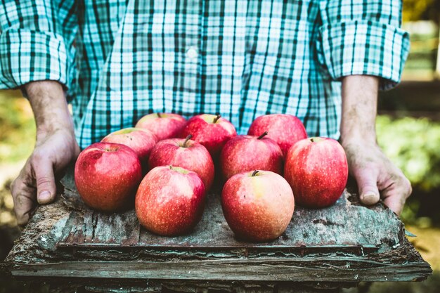 Foto boer met appels