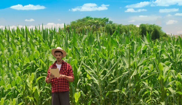 Boer met behulp van digitale tabletcomputer in gecultiveerde maïsveldplantage