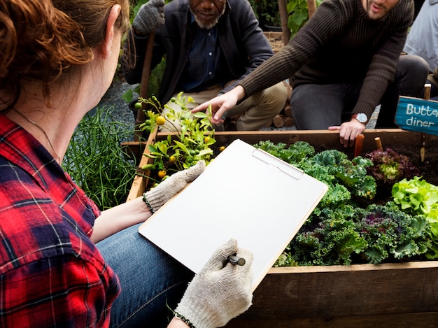 Foto boer met biologische natuurproductgroenten