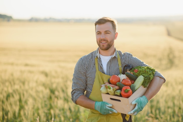 Boer met een krat biologische groenten op de boerderij Gelukkige man die een doos met geoogste groenten laat zien