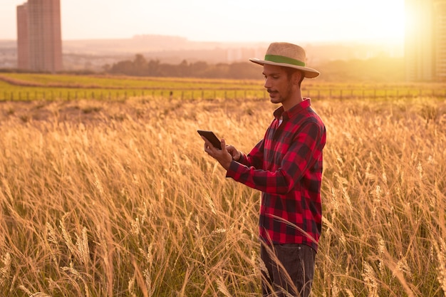 Boer met hoed en mobiele tablet die de plantage analyseert bij zonsondergang.