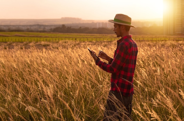 Boer met hoed en mobiele tablet die de plantage analyseert bij zonsondergang.