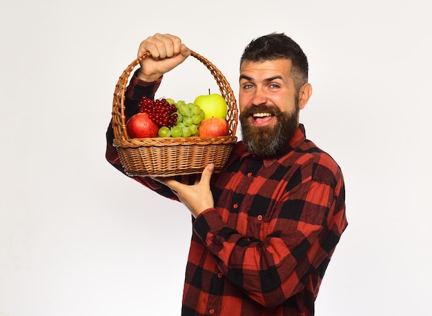 Boer met opgewonden gezicht presenteert appels, druiven en veenbessen. Man met baard houdt mand met fruit geïsoleerd op een witte achtergrond. Guy houdt oogst van eigen bodem. Landbouw- en herfstgewassenconcept