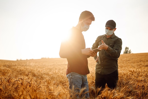 Boer met steriel medisch masker op gouden tarweveld met een tablet in zijn handen die concept oogsten