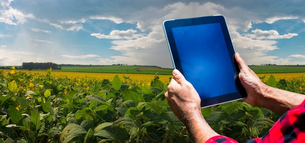 Boer met tabletcomputer op het platteland van sojabonenplantages bij zonsondergang