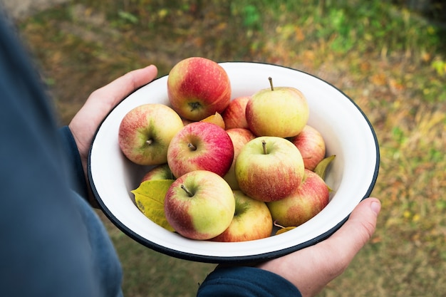 Boer met verse appels in een kom